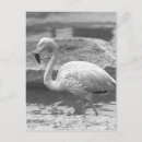 Recherche de la sur eau cartes postales En plein air