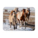 Recherche de music refrigérateur magnets Ranch