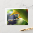 Recherche de problèmes cartes postales Inspiration