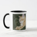 Recherche de yeux tigre tasses Mignon