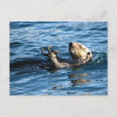 Recherche de loupe cartes postales Mer