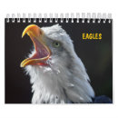 Suche nach adler kalender Vögel