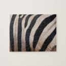 Recherche de zebra puzzles Photographie