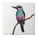 Recherche de animaux sauvages carreaux Nature