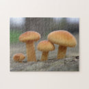 Suche nach rollstuhl puzzle Pilz