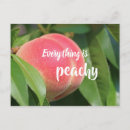 Suche nach peachy poster Pfirsich
