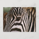 Suche nach haut postkarten Horizontal