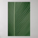 Recherche de teheran posters Iran