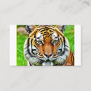 Recherche de tigre cartes visite Prédateur