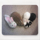 Recherche de caresse électronique Lapin
