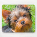 Suche nach yorkshire mousepads Schwarz
