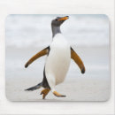 Suche nach gentoo pinguin mousepads Tier