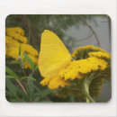 Suche nach gelber schmetterling mousepads Blumen