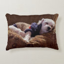 Suche nach niedliche hunde kissen Welpen