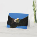 Suche nach weißkopfseeadler karten Raubtier