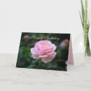 Suche nach englischer garten karten Rose