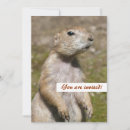 Suche nach lustige eichhörnchen einladungen Süß