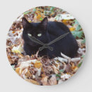 Recherche de black cat horloges Chat noir