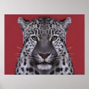 Recherche de conception de léopard posters Animal