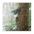 Suche nach vogel foto fliesen Trivet