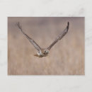 Recherche de rousse cartes postales Nature