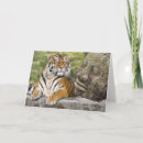 Suche nach gefährdet karten Tiger