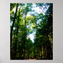 Suche nach schmal poster Landschaft