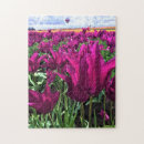 Suche nach traum puzzle Feld