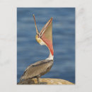 Recherche de bouche ouverte cartes postales Humour