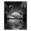 Recherche de flamant posters Tropical