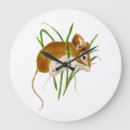 Recherche de mousse horloges Nature