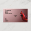 Recherche de oiseaux chanteurs cartes visite Animal