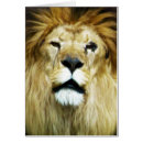 Suche nach mähne postkarten Braun