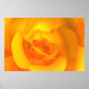 Recherche de allumé posters Pour elle