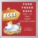 Suche nach frische eier poster Land