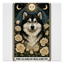 Suche nach alaskan malamute poster Tiere