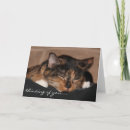 Recherche de calicot vœux cartes Amoureux des chats