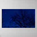 Suche nach abstrakter baum poster Natur