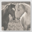 Suche nach pferd untersetzer Niedlich