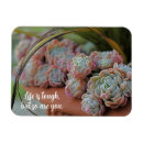 Recherche de boule neige magnets Nature