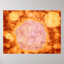 Suche nach epidemiologie poster Dreidimensional