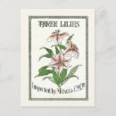 Suche nach lilien postkarten Vintag