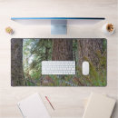 Suche nach nadelbäume mousepads Wald