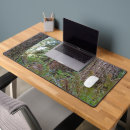 Recherche de arbre sapin tapis souris Forêt