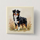 Recherche de chiens de berger australiens badges Aussie