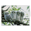 Suche nach hokkaido postkarten Selektiver fokus