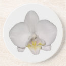 Suche nach orchidee untersetzer Foto