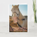 Recherche de salutation de cheval Sourire
