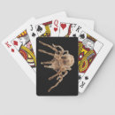 Recherche de arachnide jeux de cartes Animaux