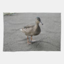Suche nach niedliche ente geschirr tücher Tiere